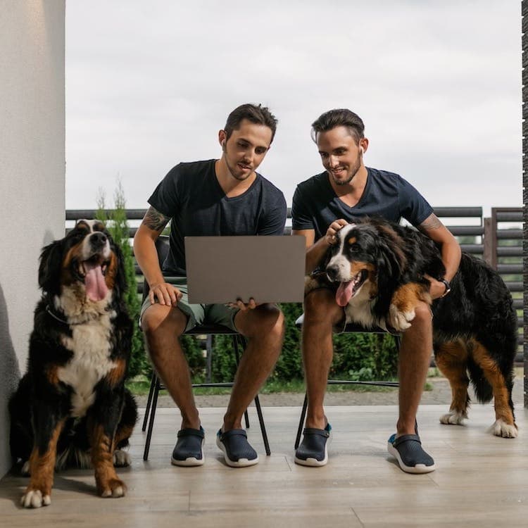 Dog sitters consulting a computer with two dogs