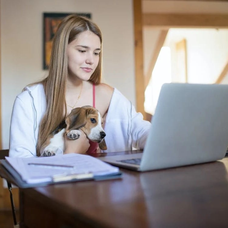 Mujer consultando su ordenador con un perro en el regazo